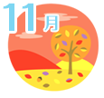 11月