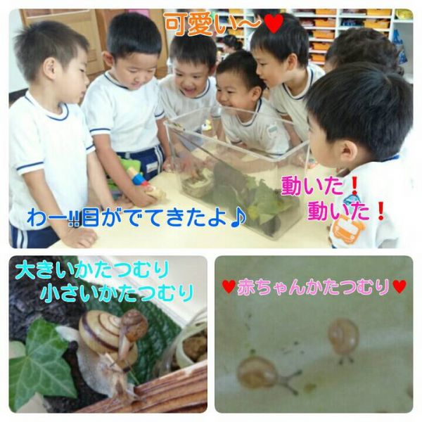 でんでんむしむし かたつむり♪  ★幸代