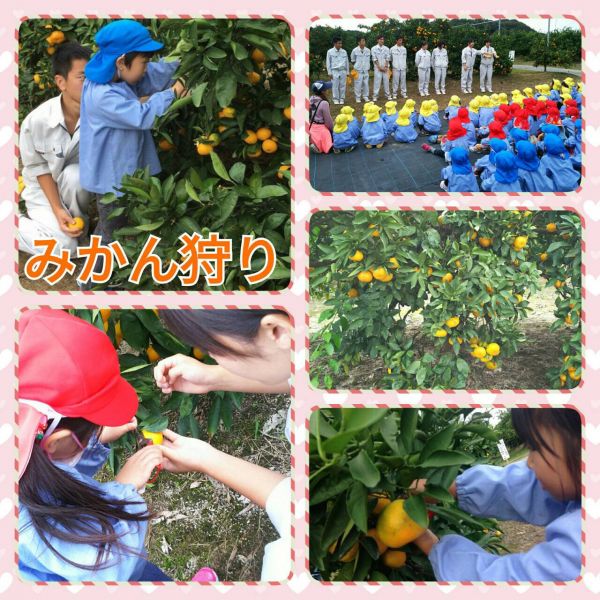 みかん狩り★花奈