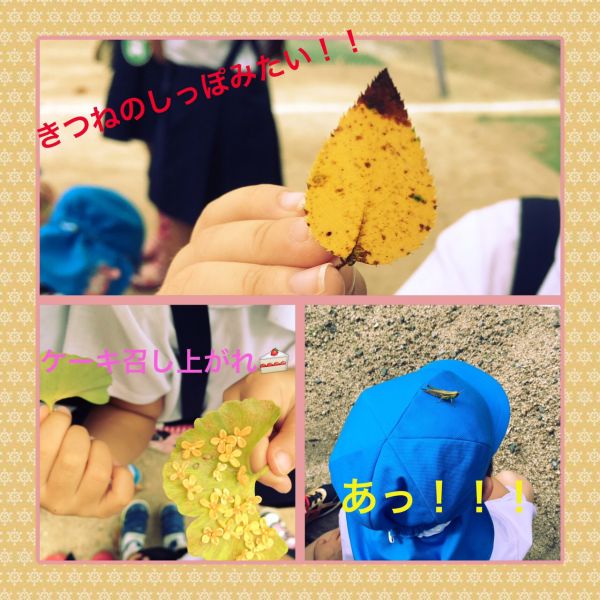 小さい秋見つけた🍁★真帆