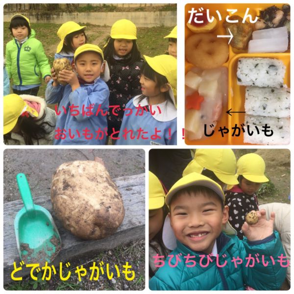 じゃがいも★沙奈重