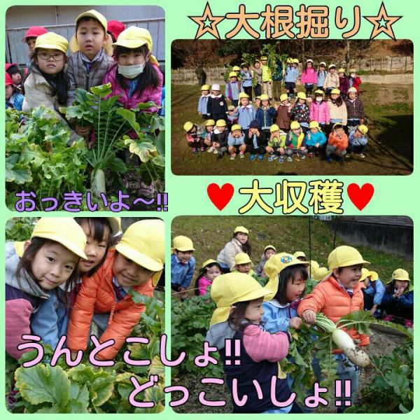 ☆大収穫の大根掘り☆★幸代