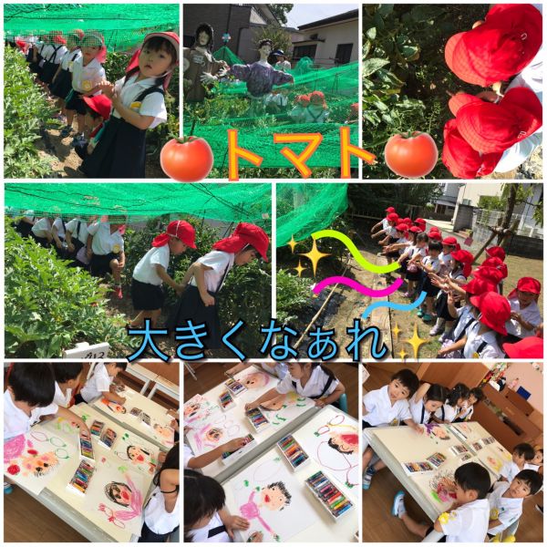 トマトみ〜つけた♪★美寿々