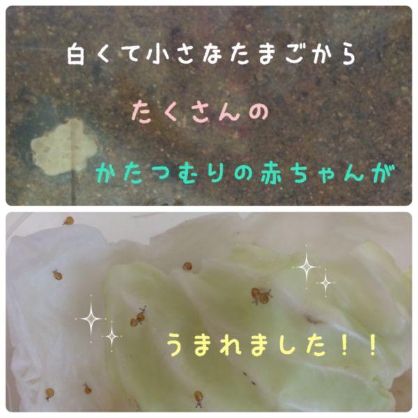 HAPPY BIRTHDAY！★真紀