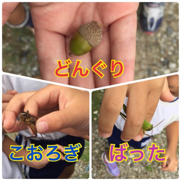 『秋を探しに』★沙奈重