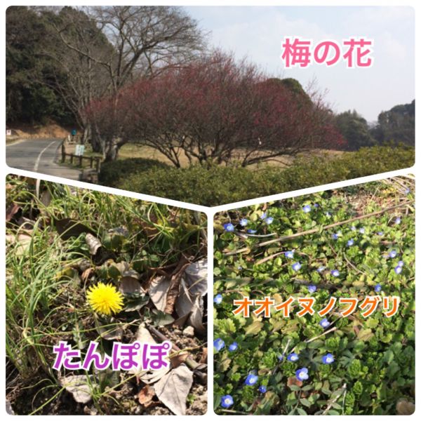 出発進行〜♫★真紀 サムネイル