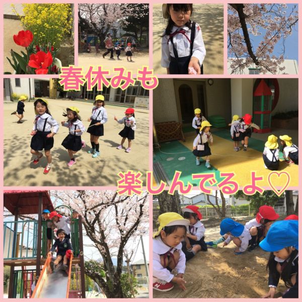 🌷春、満開🌸★ちゅうりっぷぐみ サムネイル