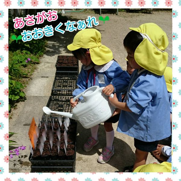 おおきくなぁれ🌱★千尋 サムネイル