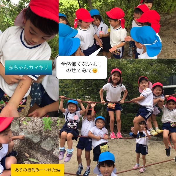 もも3組とみどり2組★美寿々 サムネイル