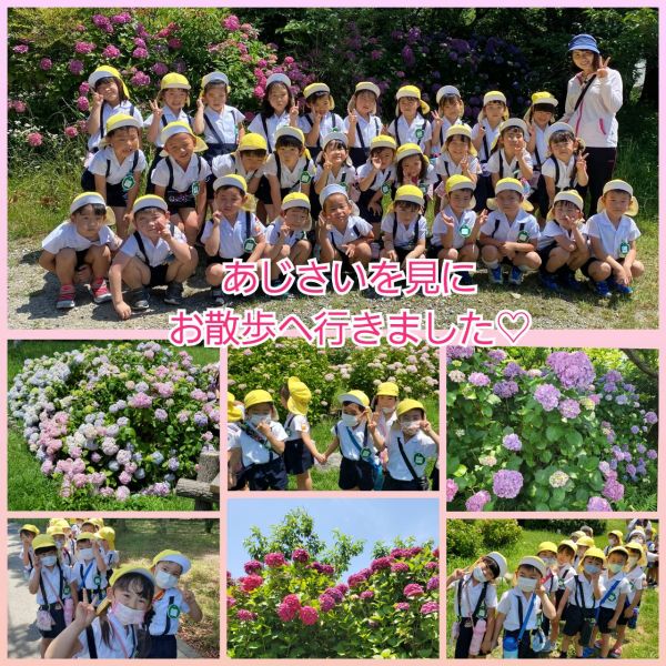 紫陽花★千尋 サムネイル