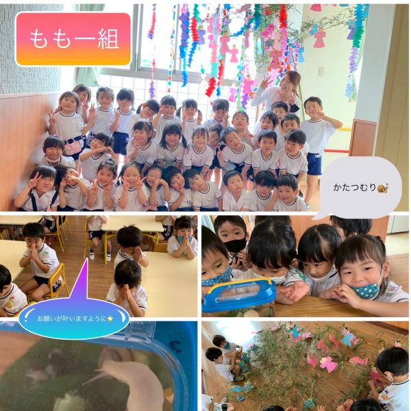 七夕飾り🎋もも1組 サムネイル
