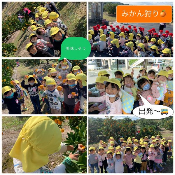 もも組　みかん狩り🍊★美寿々 サムネイル