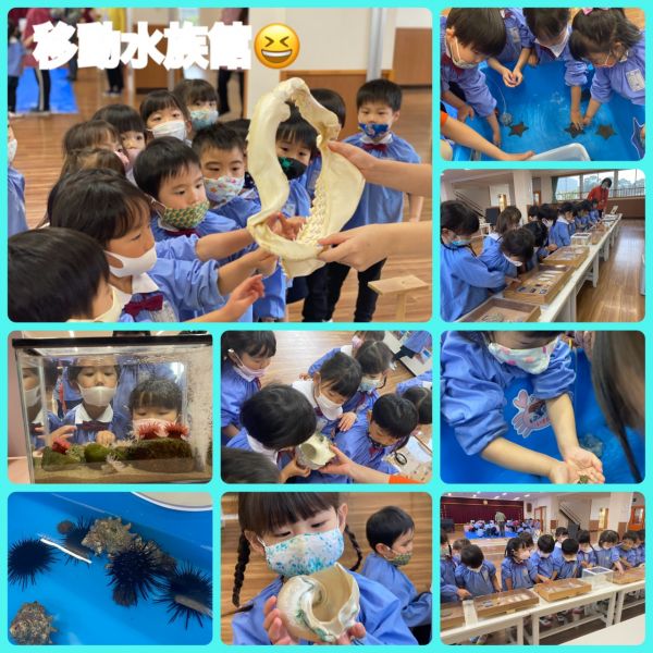 🐟移動水族館🐟★理奈 サムネイル
