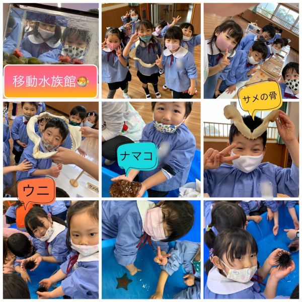 移動水族館🐠★美寿々 サムネイル