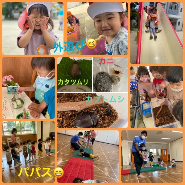 6月25日① サムネイル