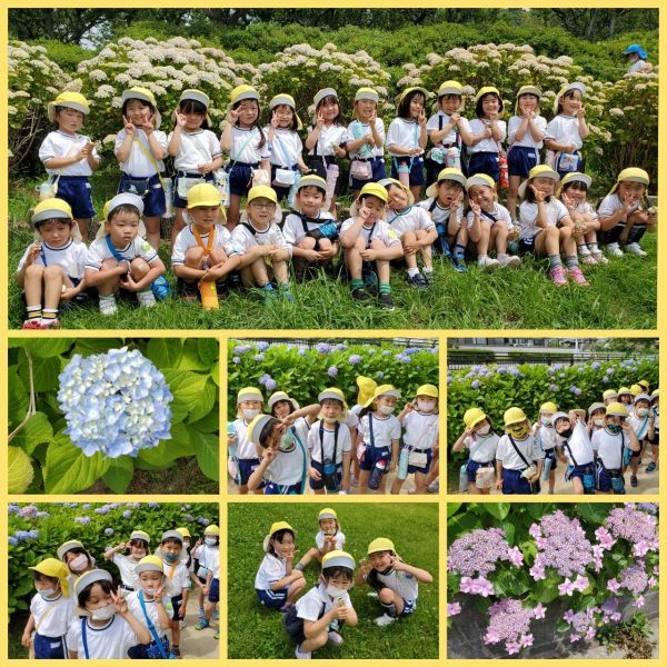 紫陽花見学★千尋 サムネイル