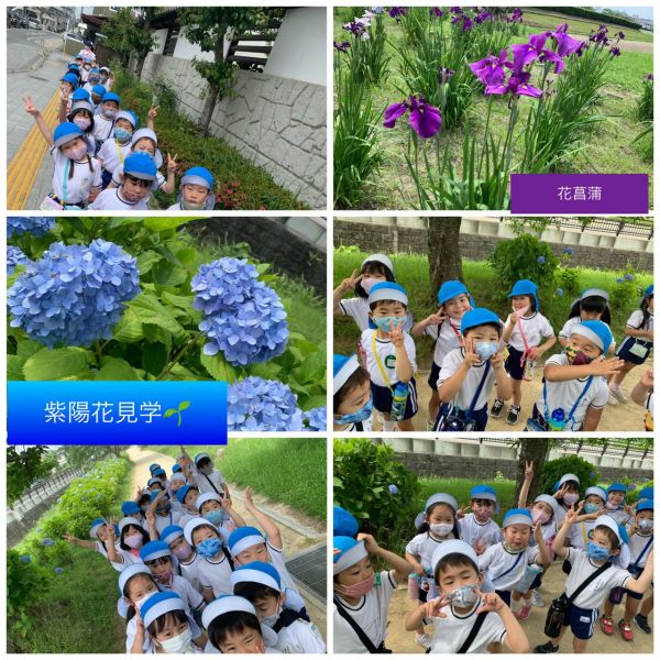 紫陽花見学🌱★美寿々 サムネイル
