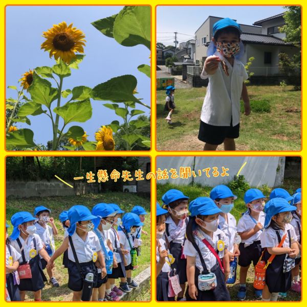 はと3組🌻②★みく サムネイル