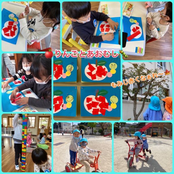 11月5日④ サムネイル