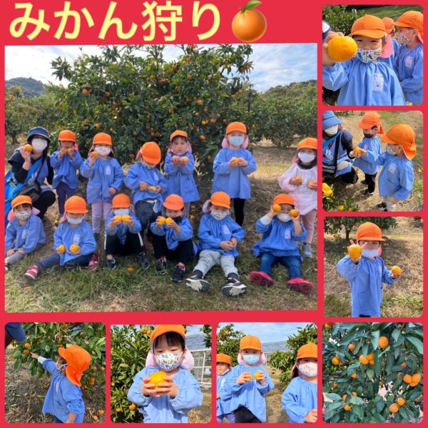 11月5日① サムネイル
