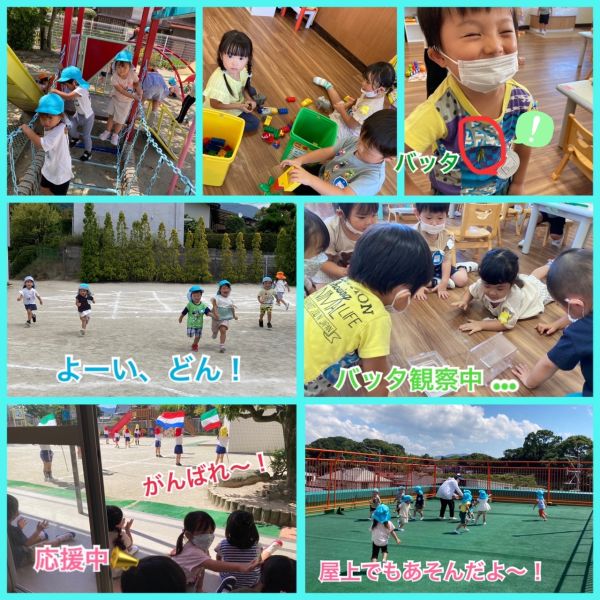 9月16日② サムネイル