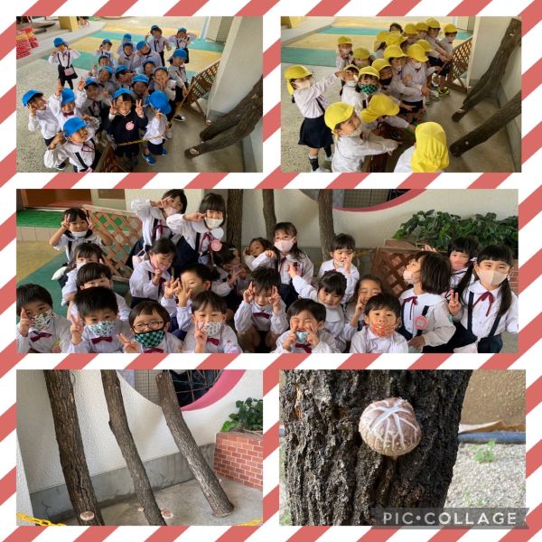 10月19日★もも組 サムネイル