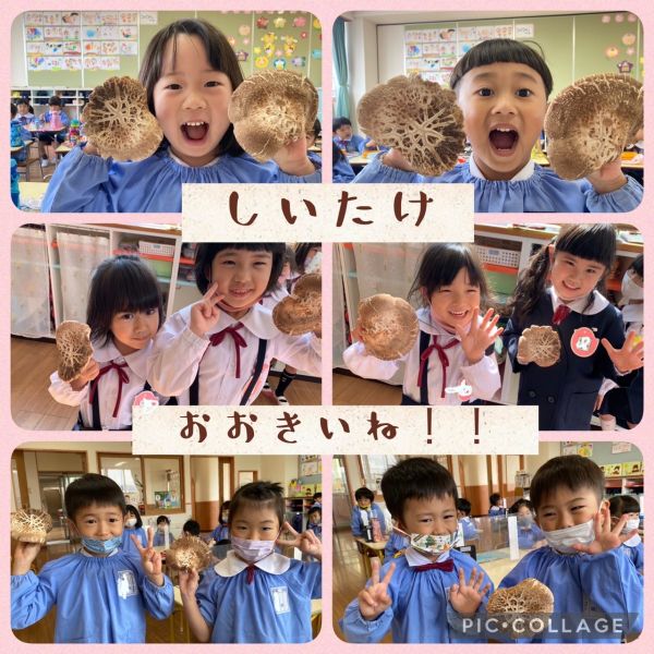 しいたけゲット♪★もも組 サムネイル