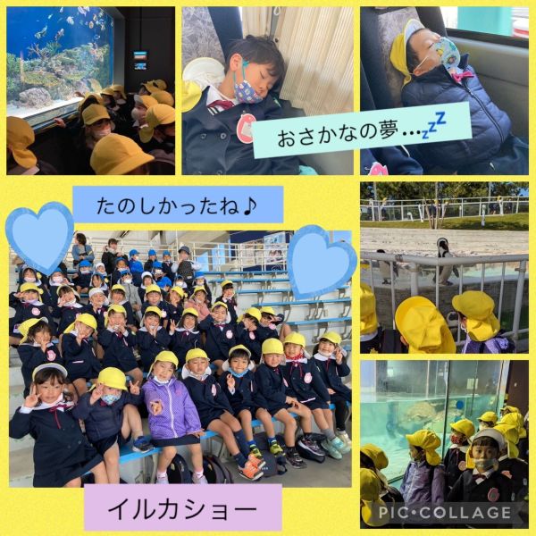 11月8日①★もも組 サムネイル