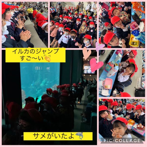 11月8日② サムネイル