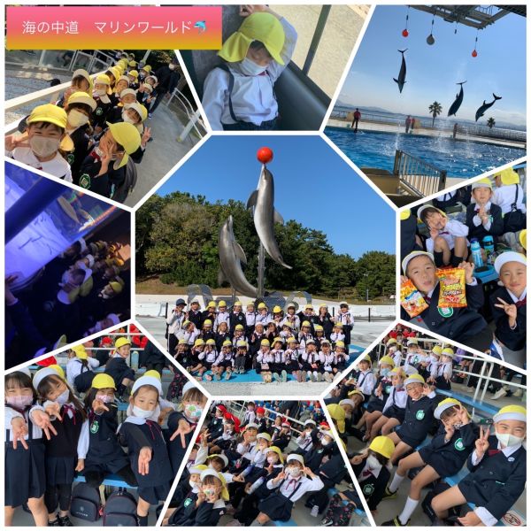 海の中道　マリンワールド🐬★美寿々 サムネイル
