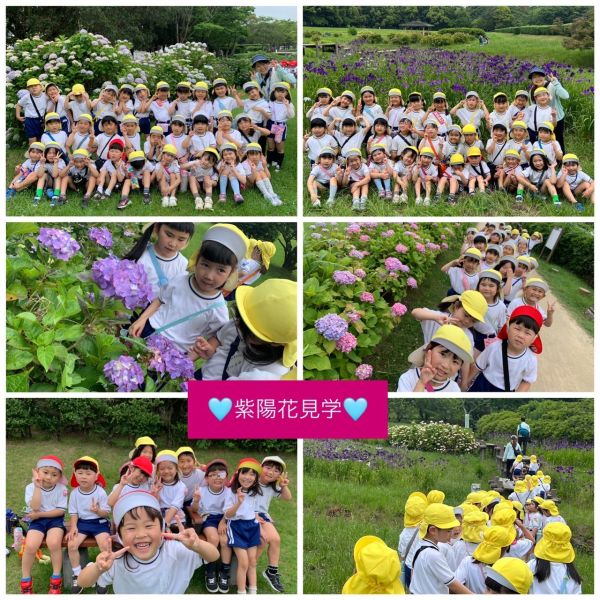 紫陽花見学🩵★美寿々 サムネイル