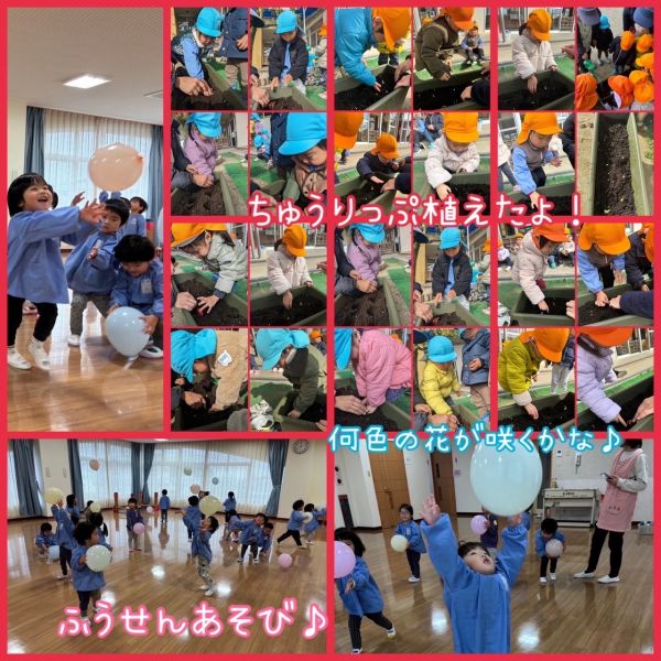 1月19日③ サムネイル