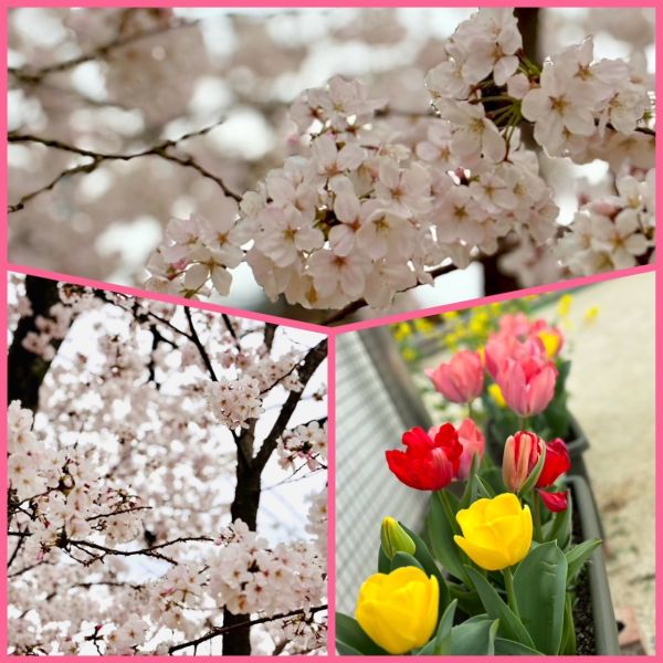 4月2日 サムネイル
