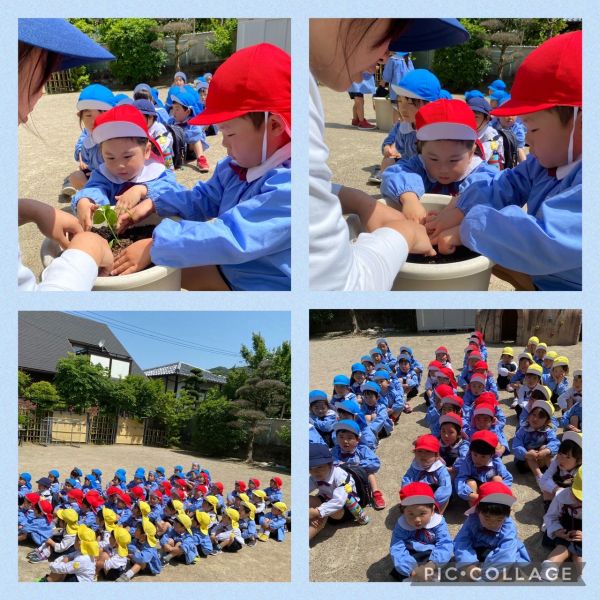 5月10日④★もも組 サムネイル
