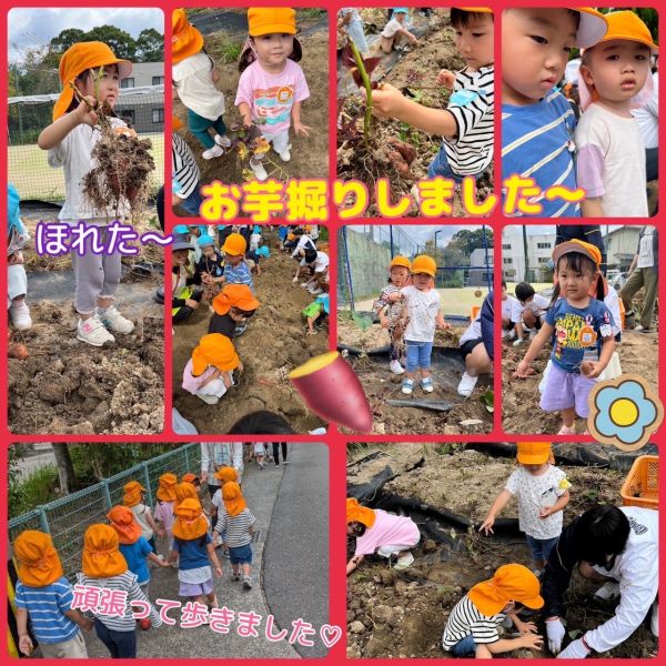 10月16日① サムネイル