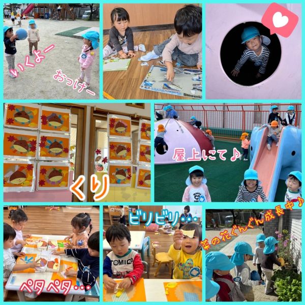 11月8日② サムネイル