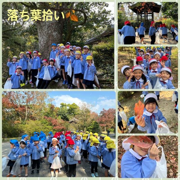 11月22日★みどり組 サムネイル