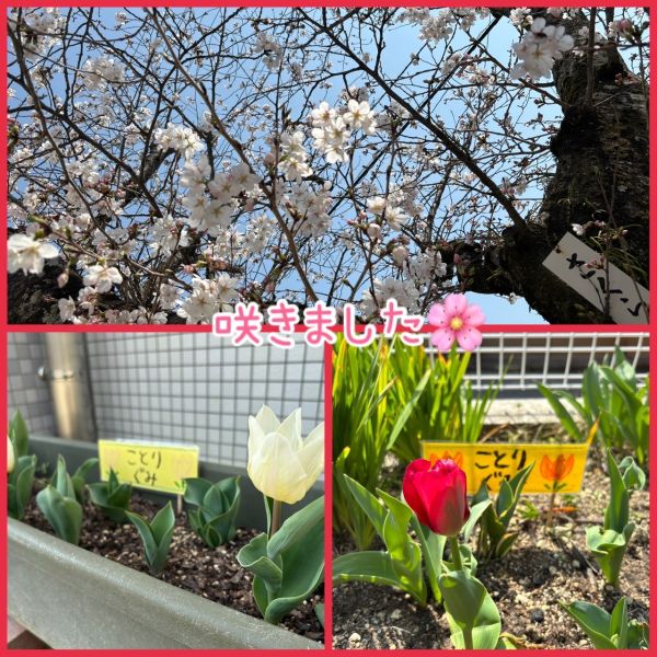3月26日 サムネイル