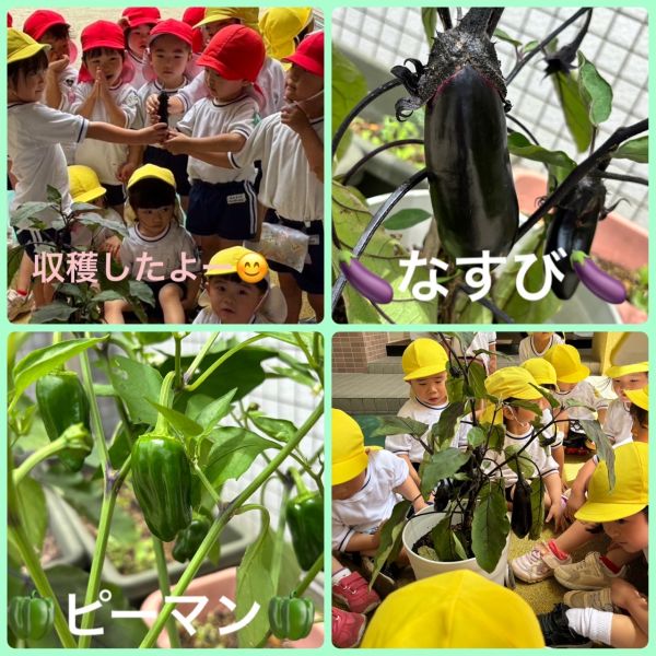 6月17日★はと組 サムネイル