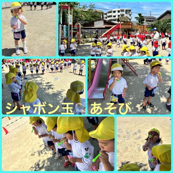 6月19日★はと1組 サムネイル