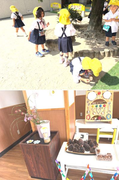 朝は少し涼しくなりました♪ サムネイル