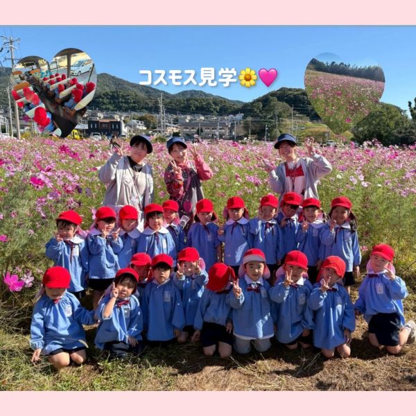 11月4日★はと2組 サムネイル