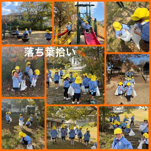 11月21日★はと1組 サムネイル