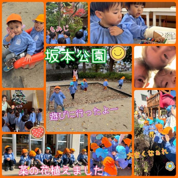 11月24日 サムネイル